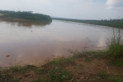 Rio Nyabarongo