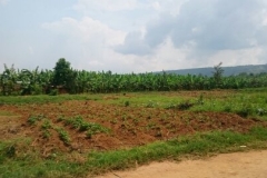 tierras para comprar